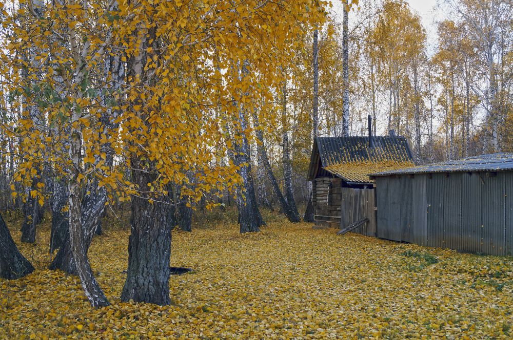 Photograph by Татьяна Мишустина