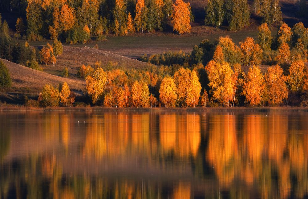 Photograph by Татьяна Бирюкова