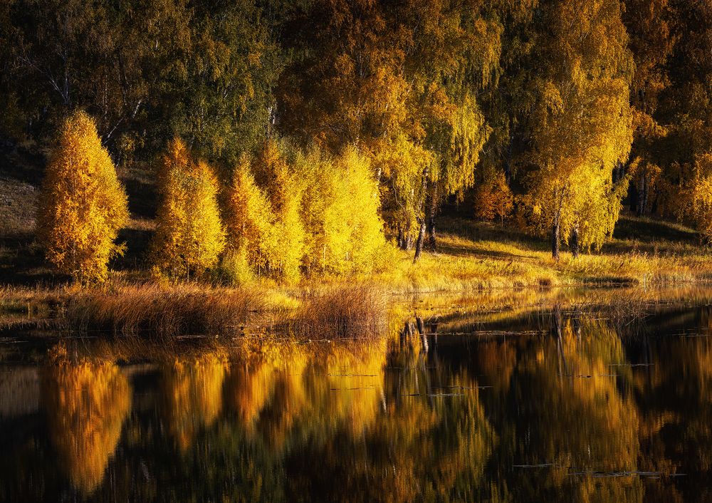 Photograph by Татьяна Бирюкова
