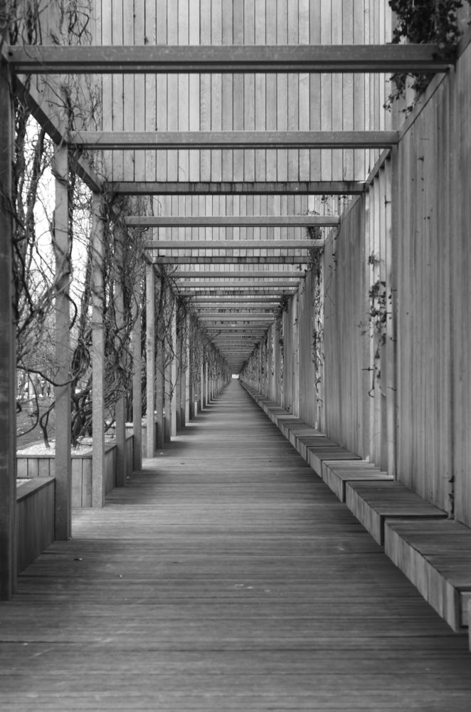 Фотография автора Анастасия Лапта