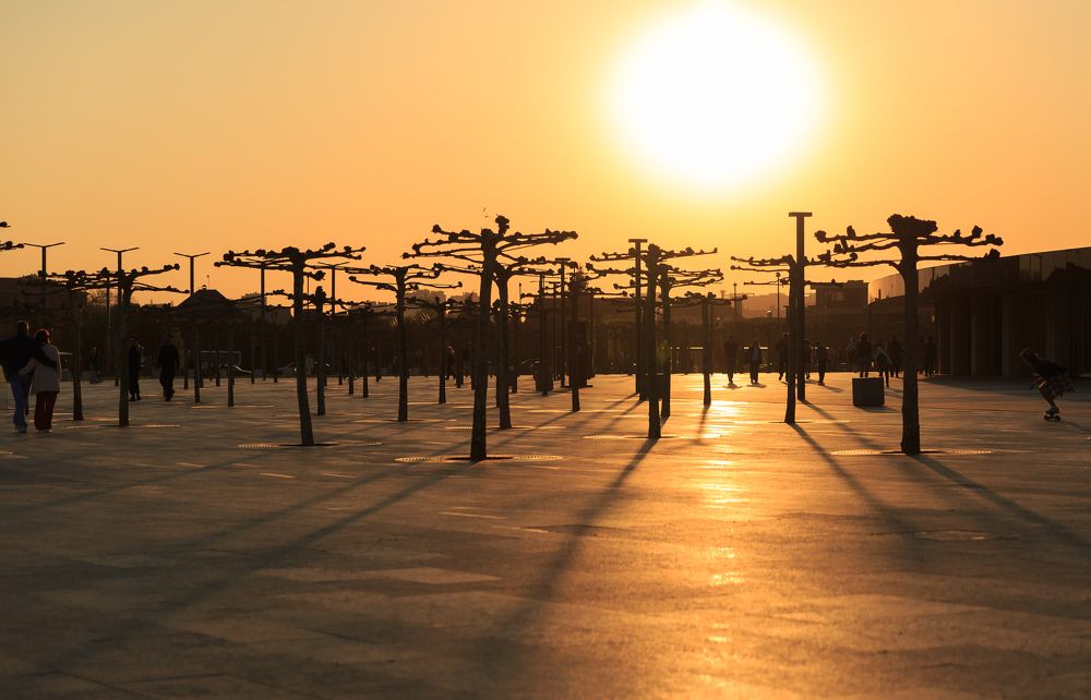 Каменный плен