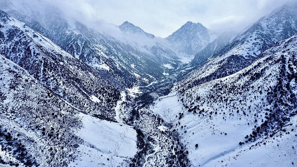 Photograph by Дмитрий Балеевских