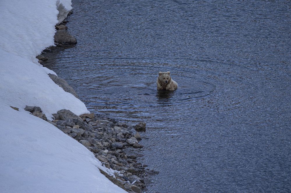 Фотография автора Sudipta Chakraborty