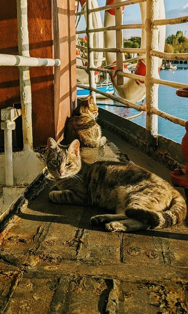 Photograph by Денис Терехин