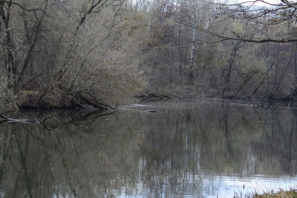 Photograph by Ольга Истомина