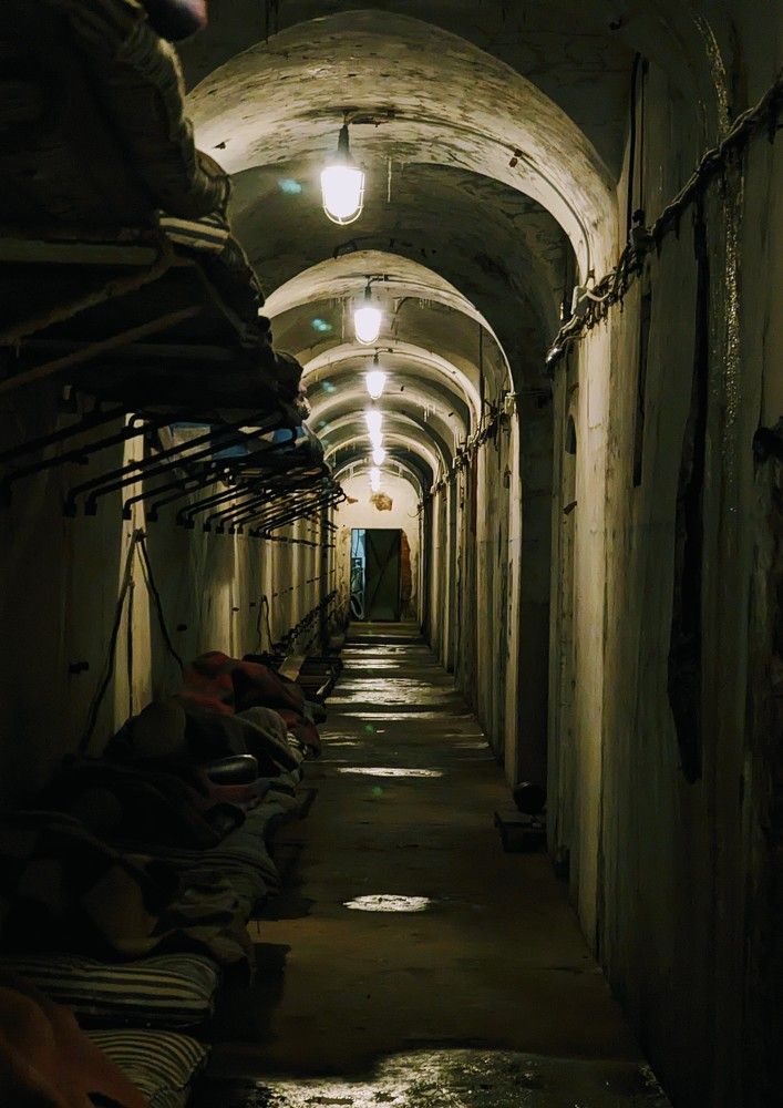 Photograph by Денис Терехин