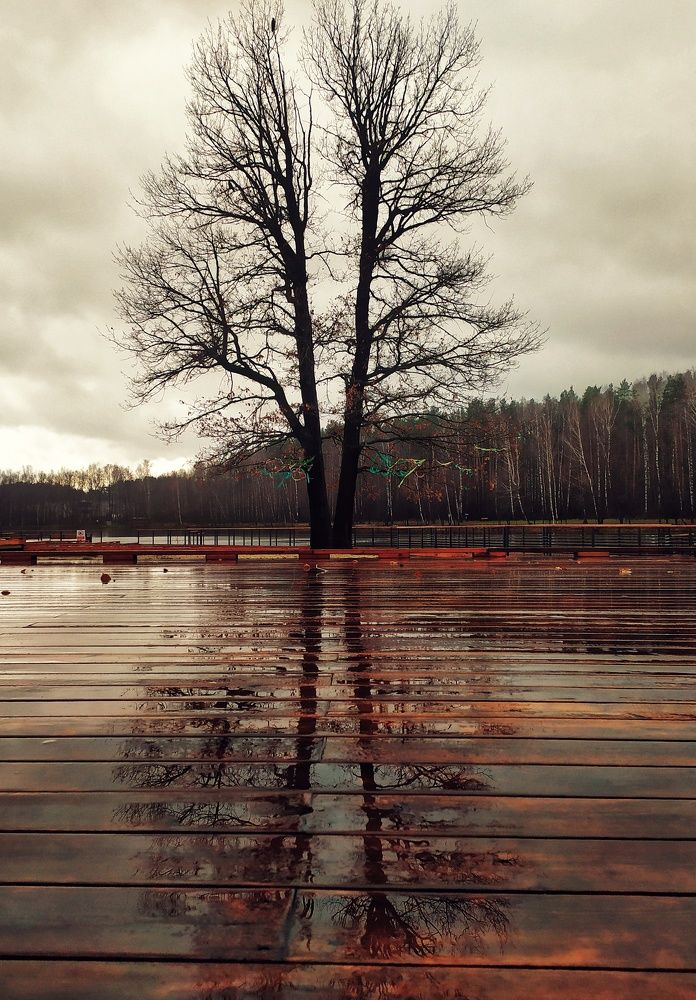 Photograph by Любовь Сухова