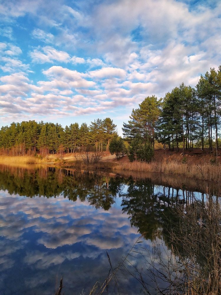 Photograph by Любовь Сухова