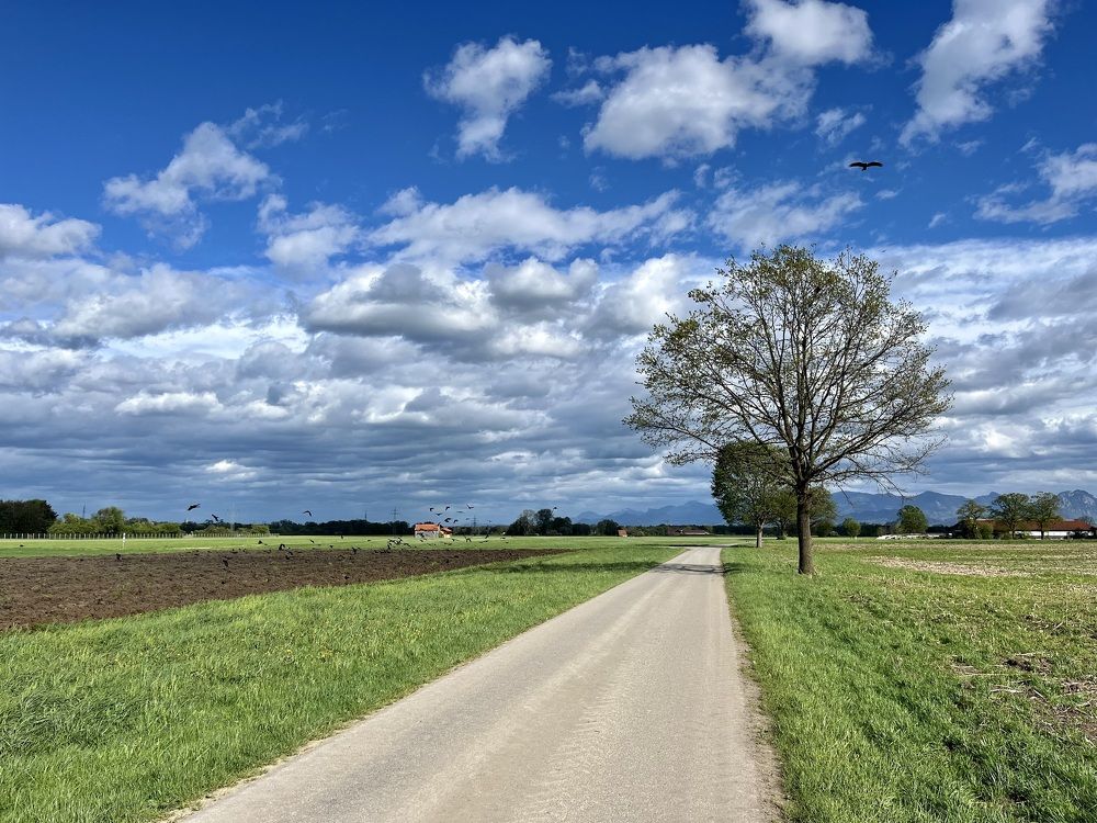 Фотография автора Liudmila Kiermeier