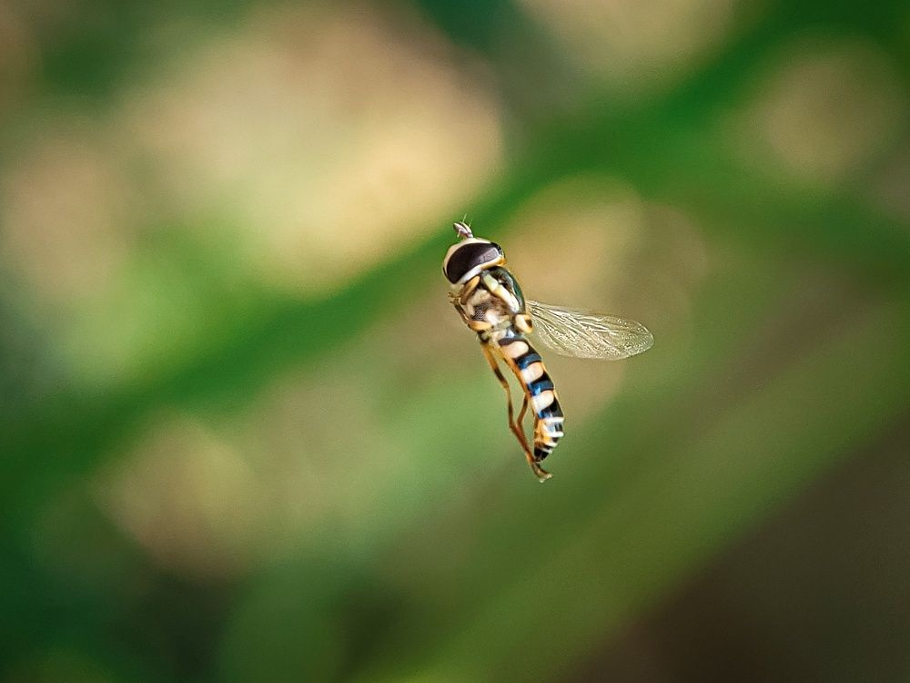 Photograph by Janmenjoy Mahata