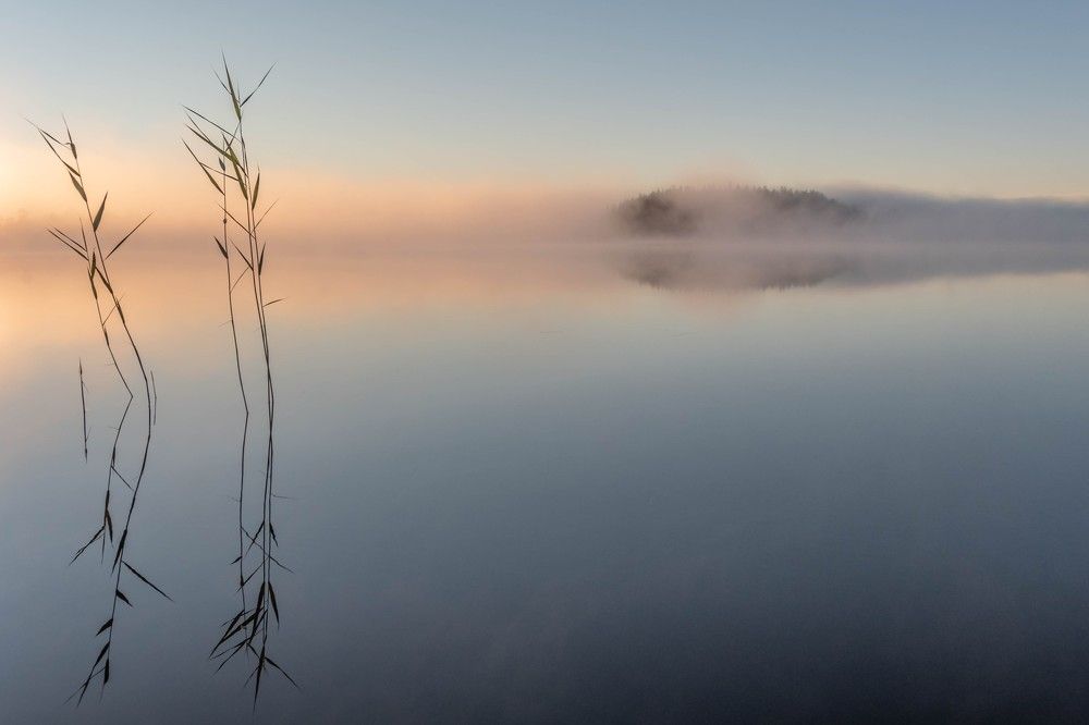 Симметрии утреннего озера