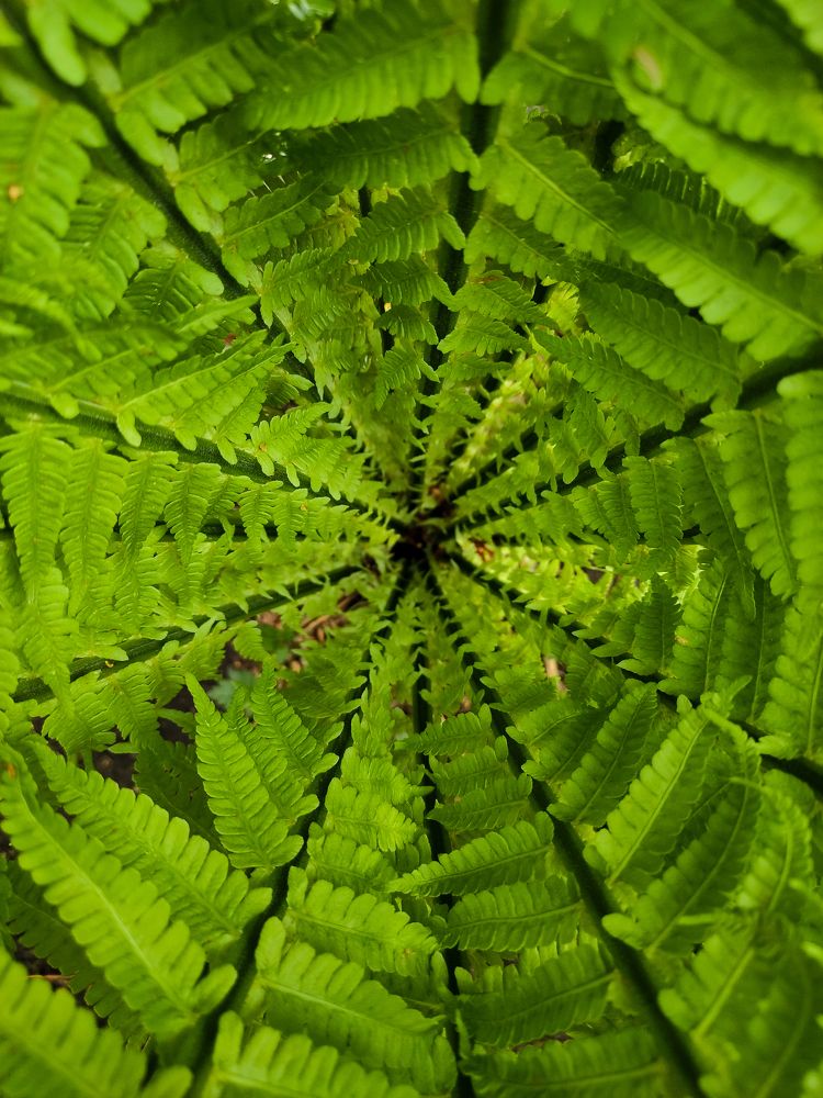 Photograph by Николай Захаров