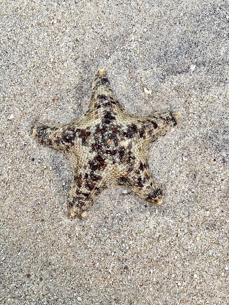 Photograph by Лариса Белашова