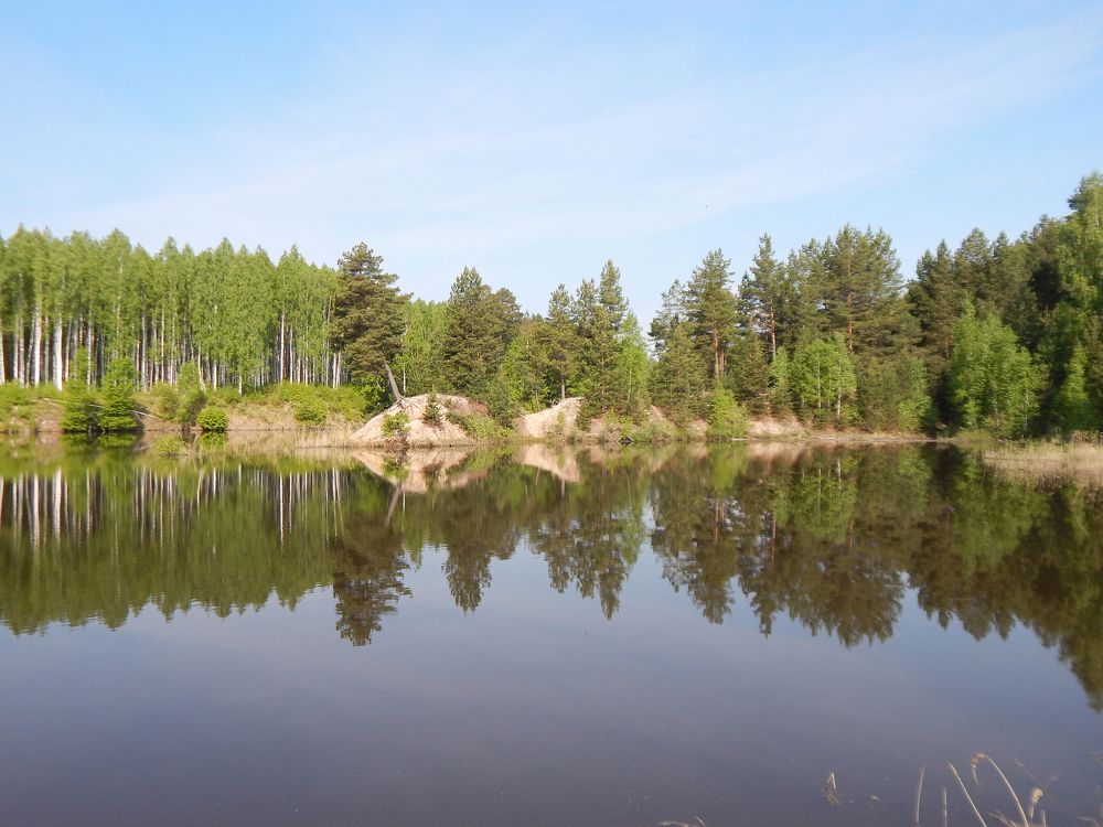 Лесное озеро