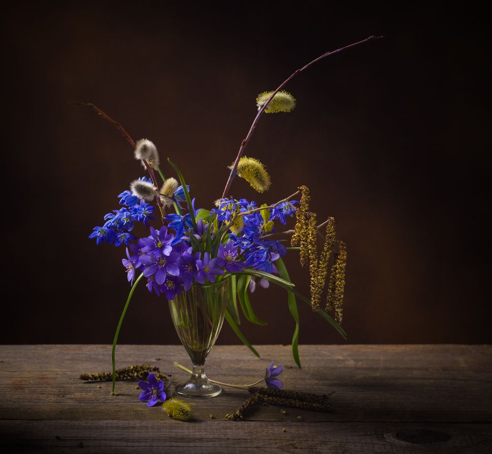 Photograph by Хвойнова Елена