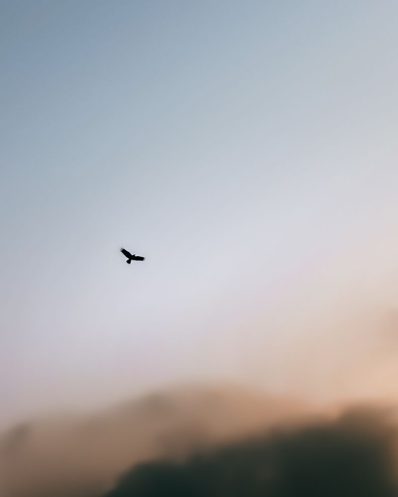 Photograph by Rudranil Manna