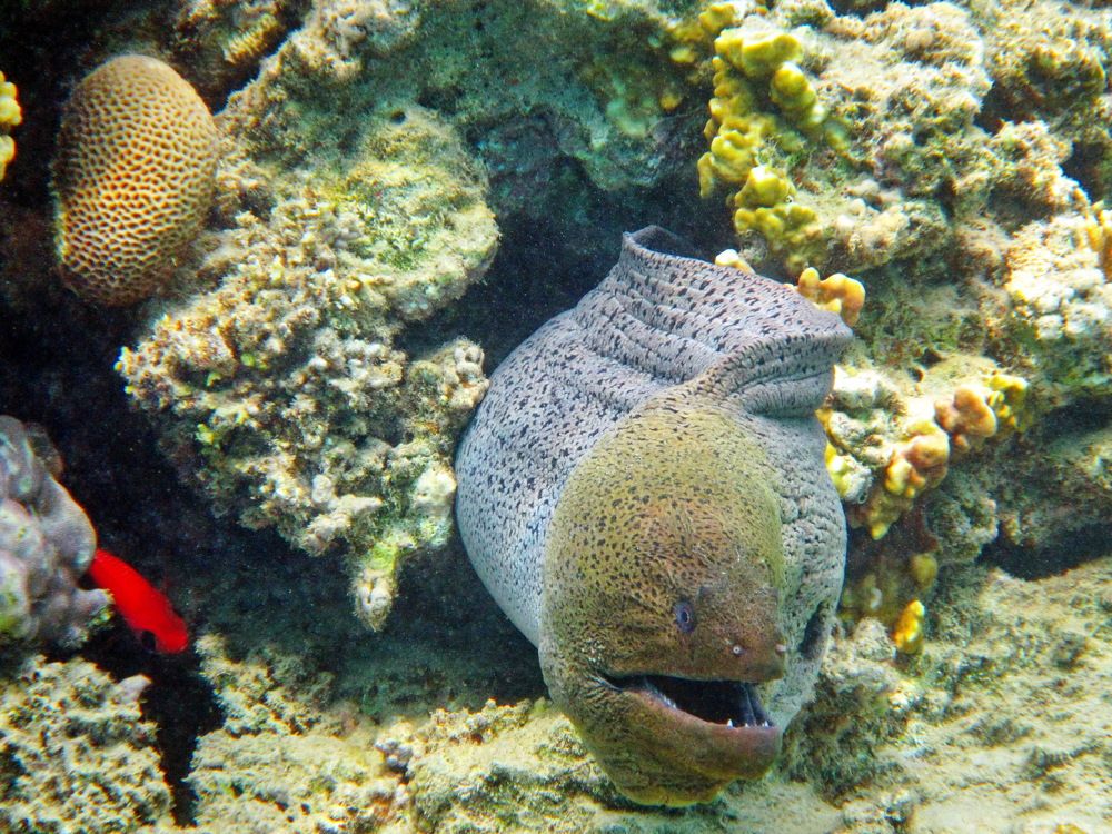 Photograph by Александр Халимов