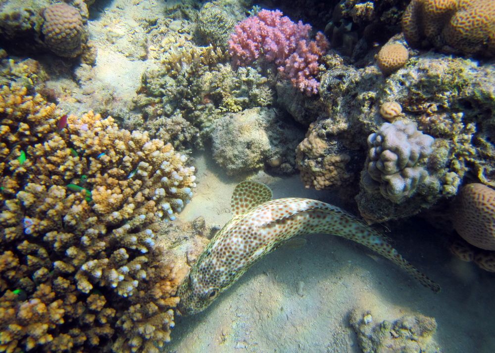 Photograph by Александр Халимов