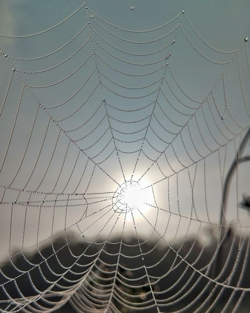 Photograph by Петр Поспелов