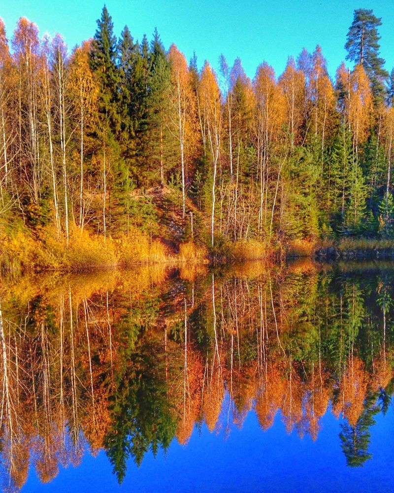 Photograph by Петр Поспелов