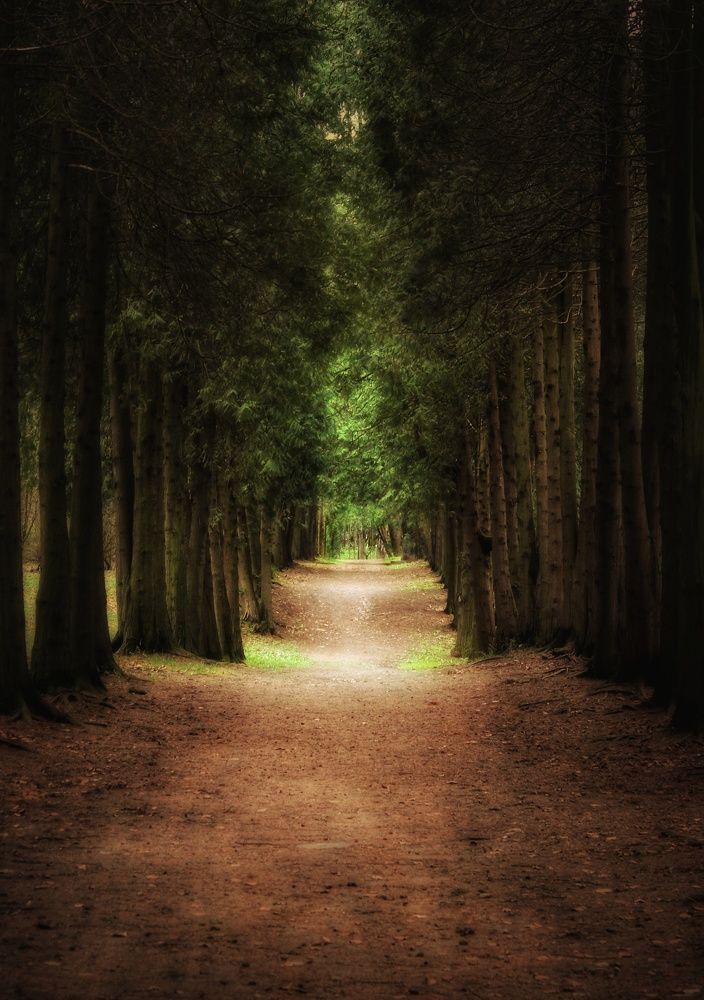 Photograph by Татьяна Сычёва