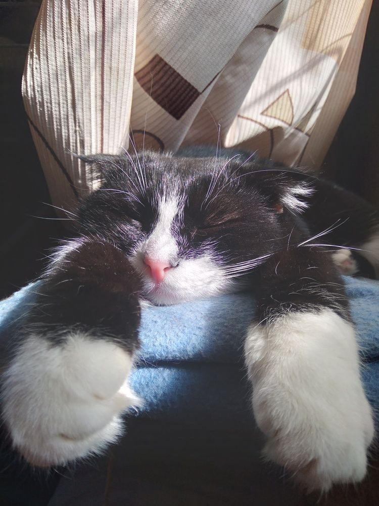 Photograph by Павел Вихрев