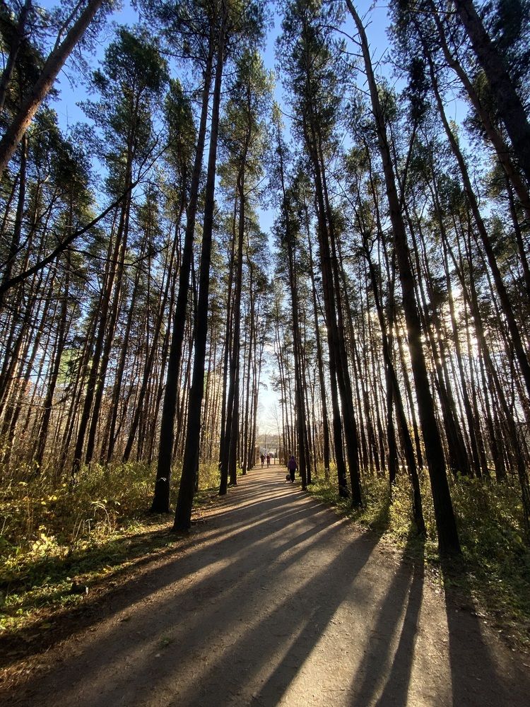 Photograph by Ольга Кушнарева