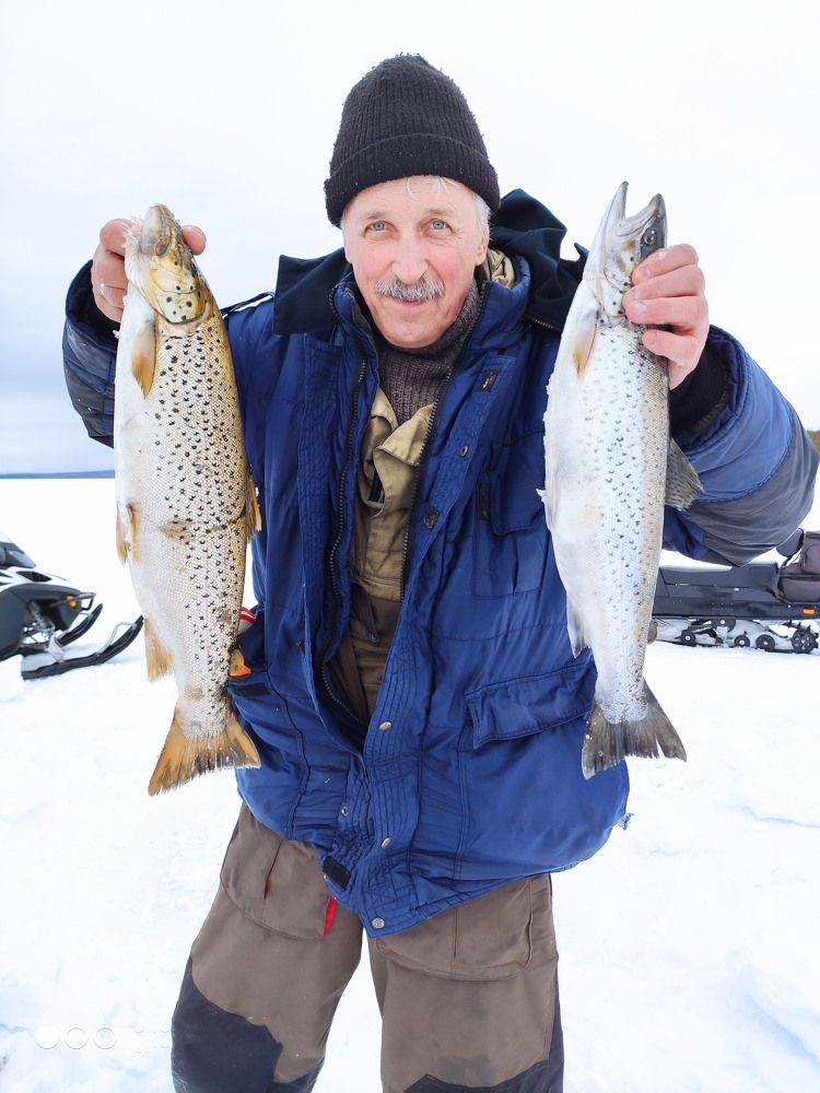 Photograph by Светлана Зотова