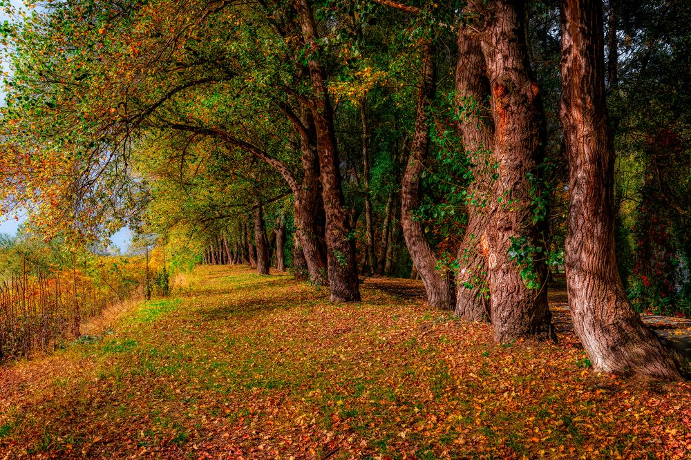 Photograph by Владимир Кваша
