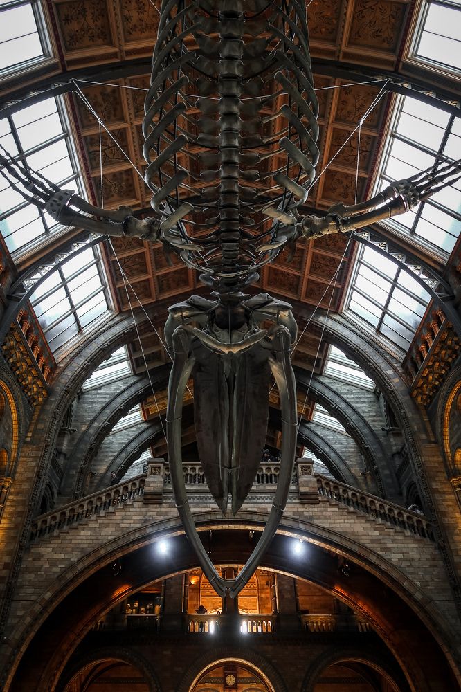 Photograph by Sergejs Barkans