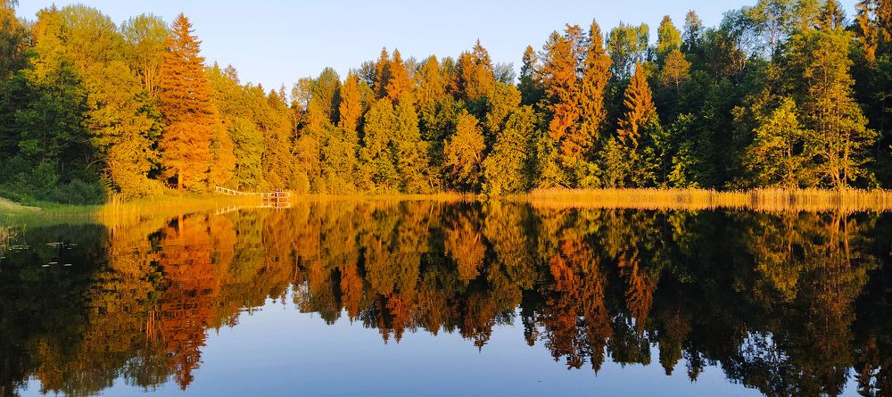 Photograph by Ольга Стоун