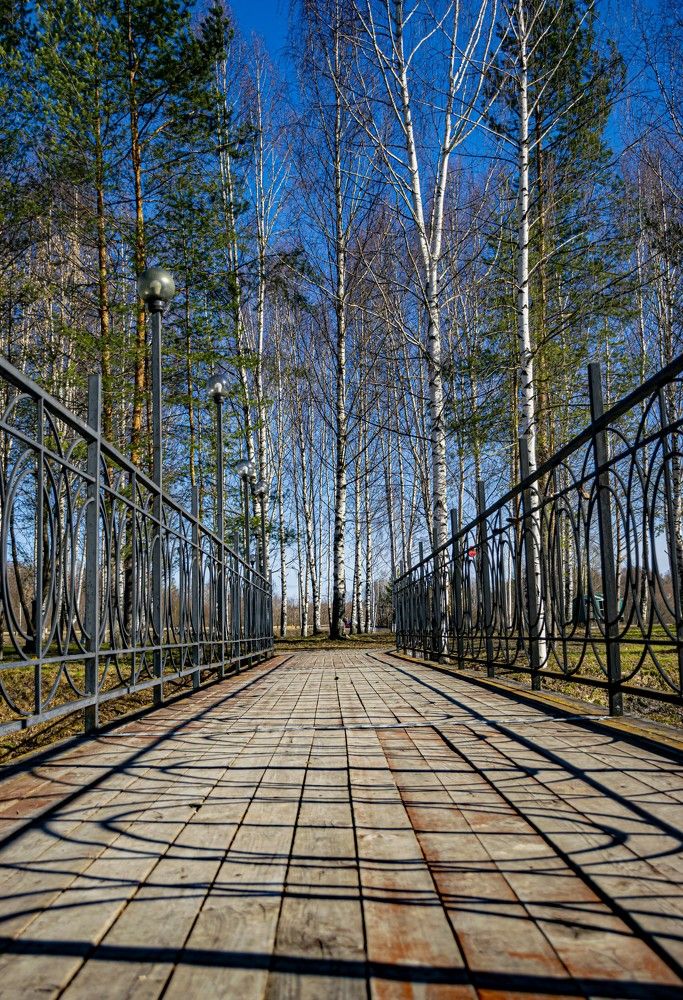 Photograph by Игорь Скорняков