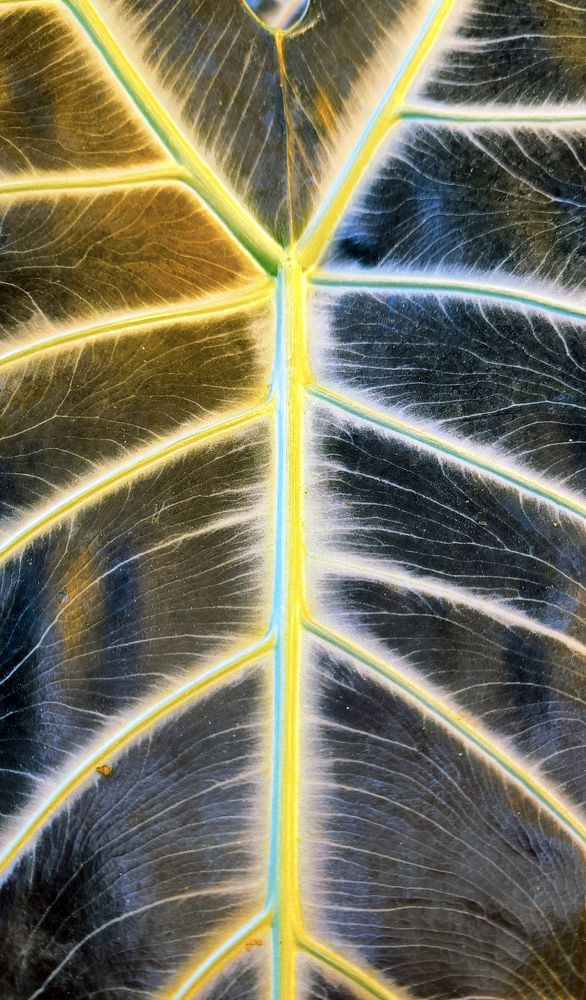 Photograph by Ольга Стоун