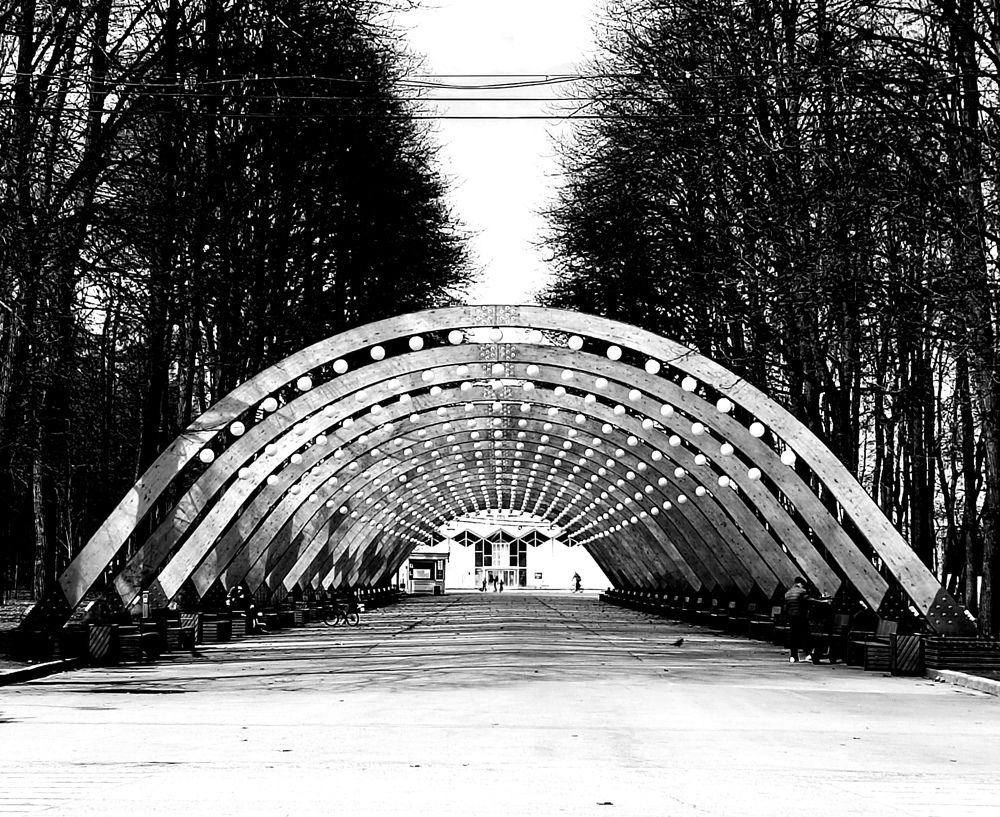 Photograph by Марина Моссий