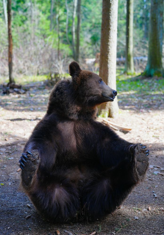 Photograph by Александр Вякин