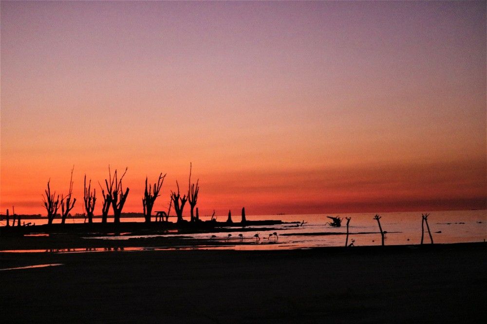 Photograph by Patricia Delionardis