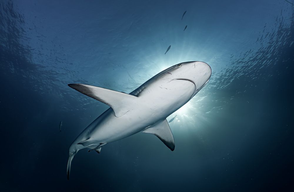 Photograph by Lissandra Sharllen Amezcua Lepe