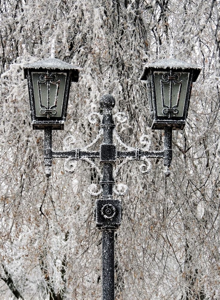 Photograph by Савоцкий Роман