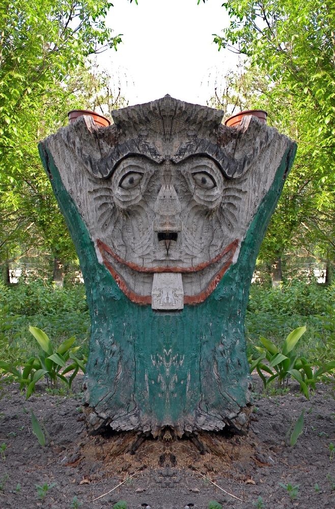 Фотография автора Роман Савоцкий