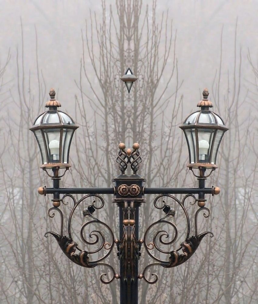 Фотография автора Роман Савоцкий