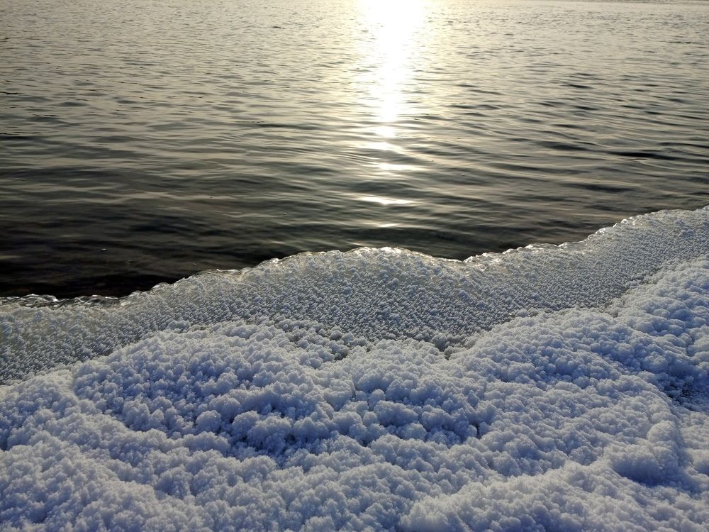 Photo #10539012