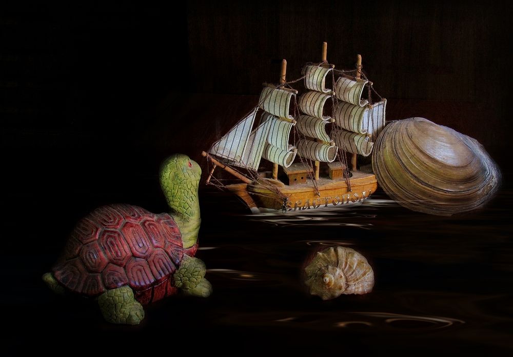 Фотография автора Роман Савоцкий