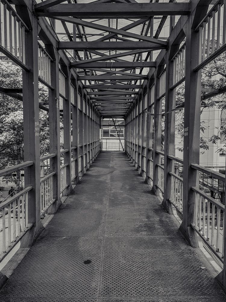 Photograph by Arghya Mandi