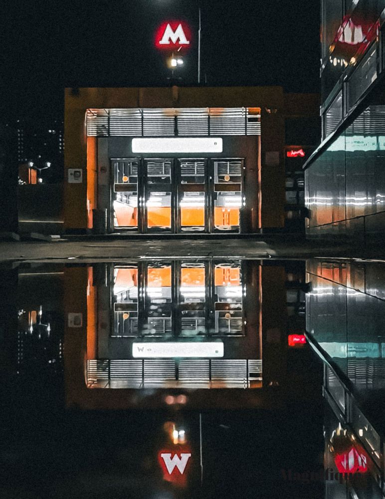 Фотография автора Светлана Алексеева