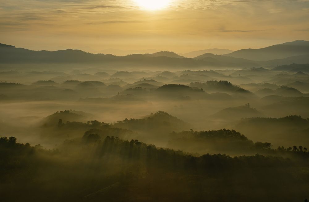 Photograph by May Nguyễn