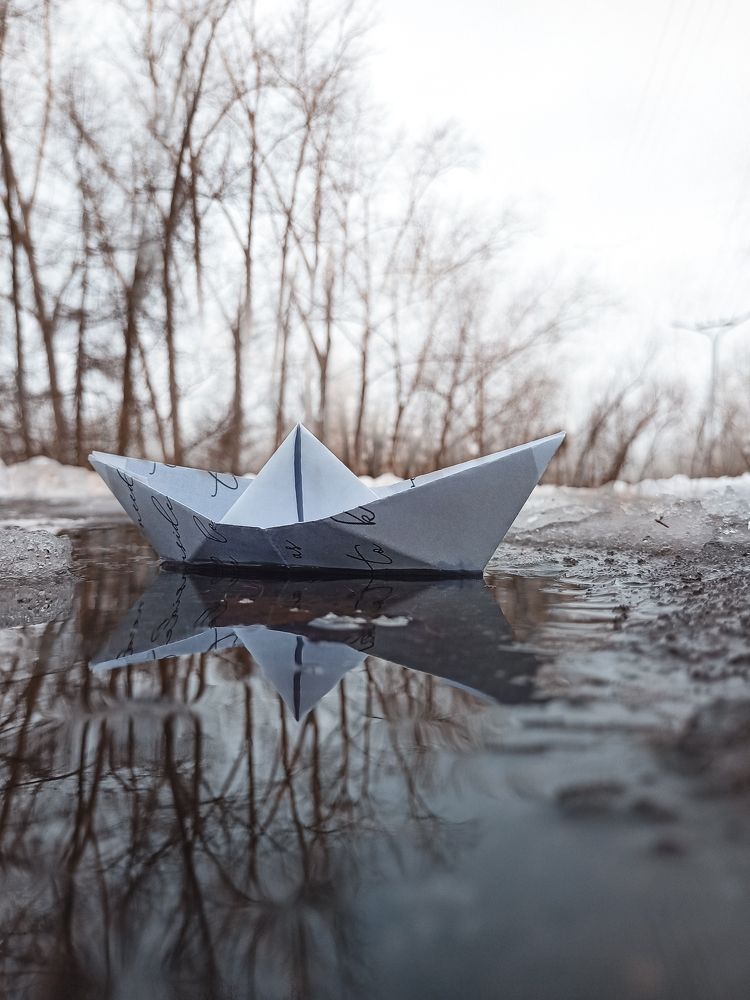 Фотография автора Татьяна Шахова