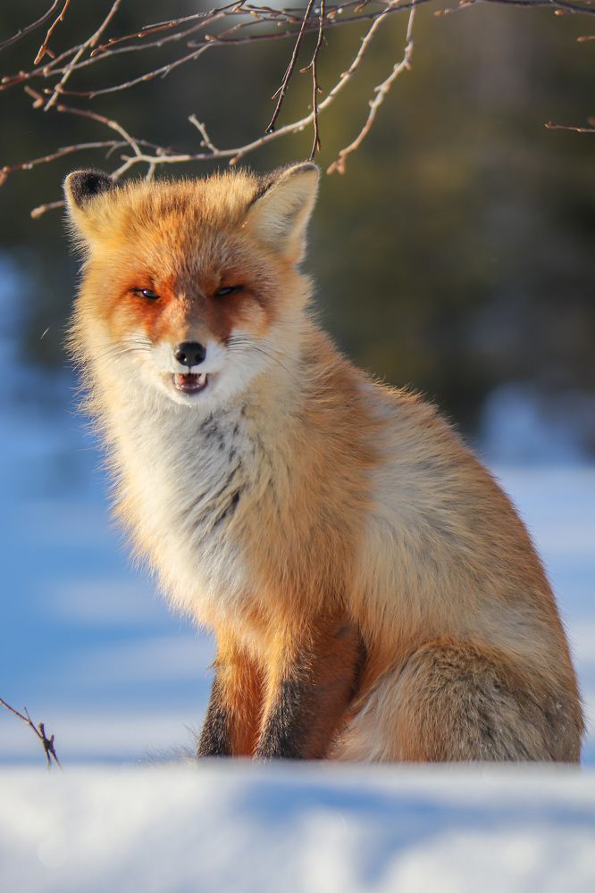 Фотосессия