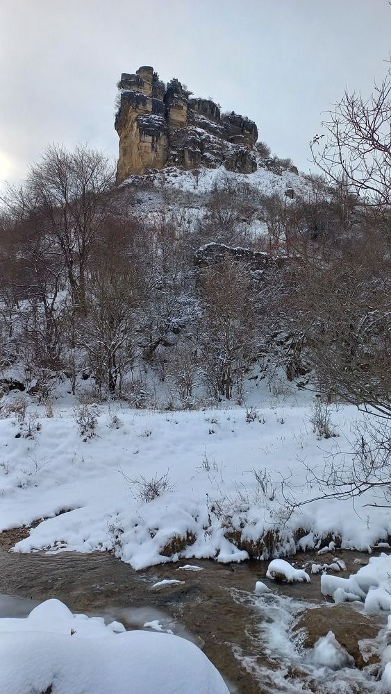 Photo #10539331
