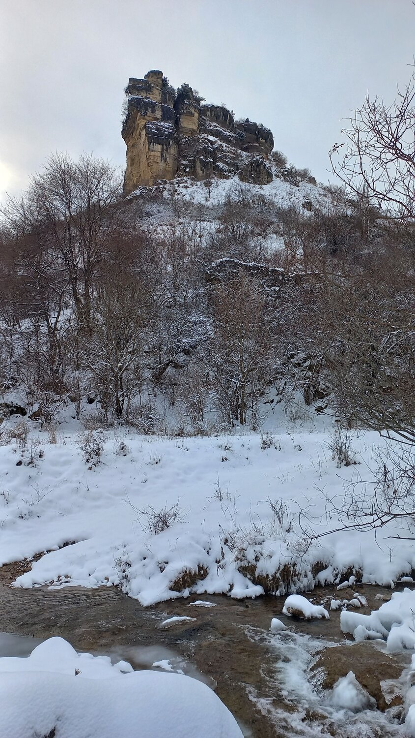 Photo #10539331