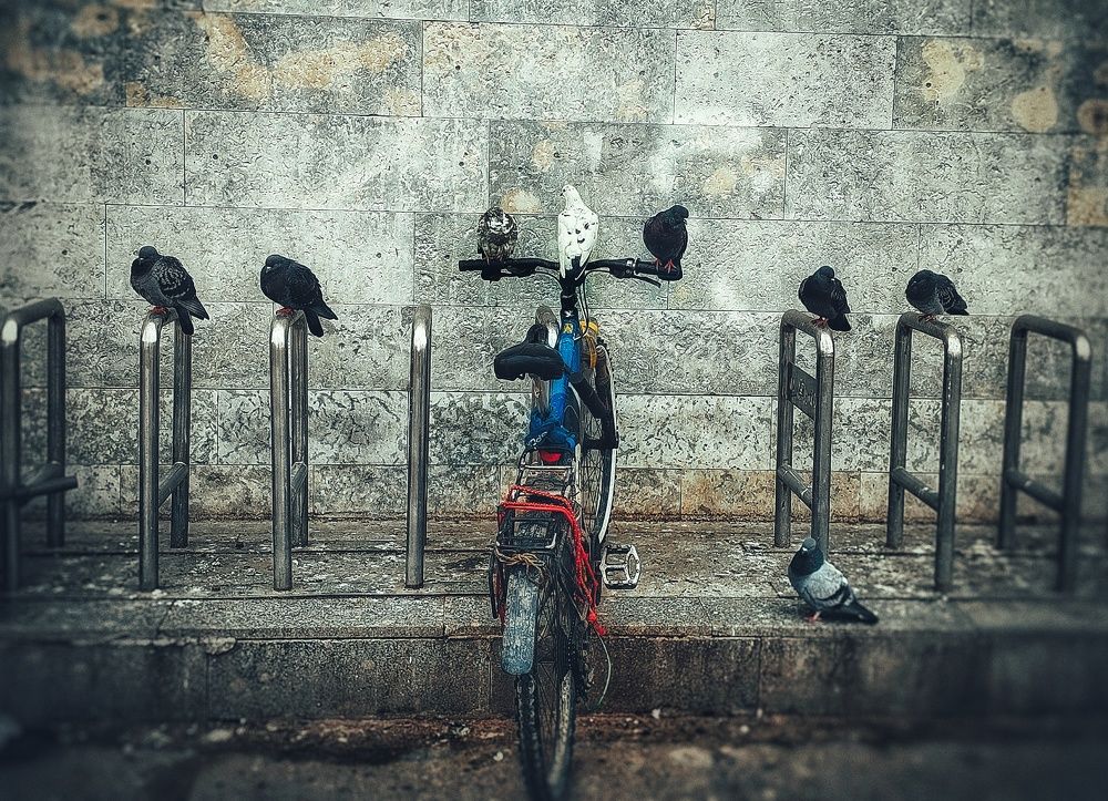 Photograph by Дайана